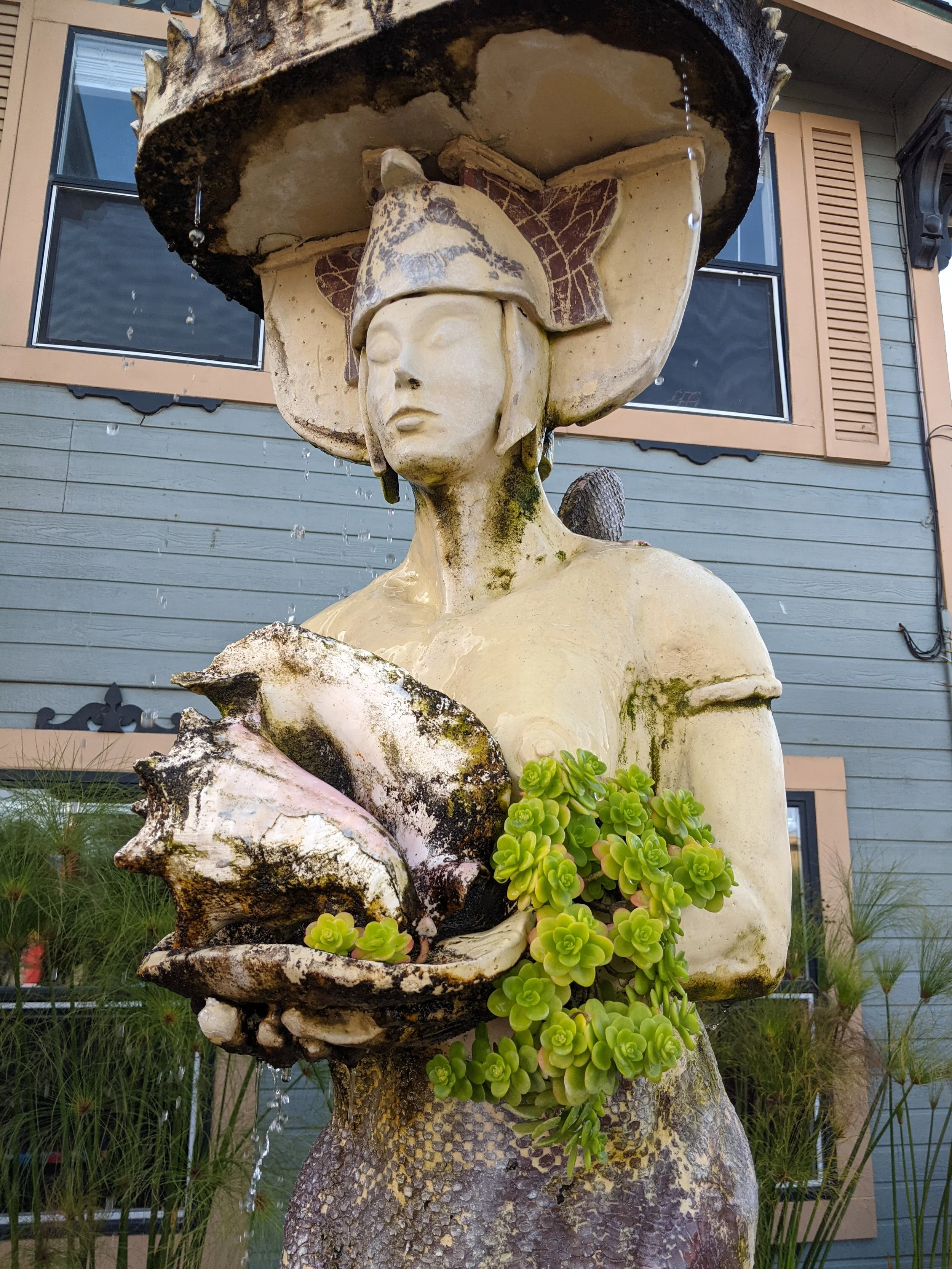 Copy of PXL_20211107_222913161.MP(1).jpg