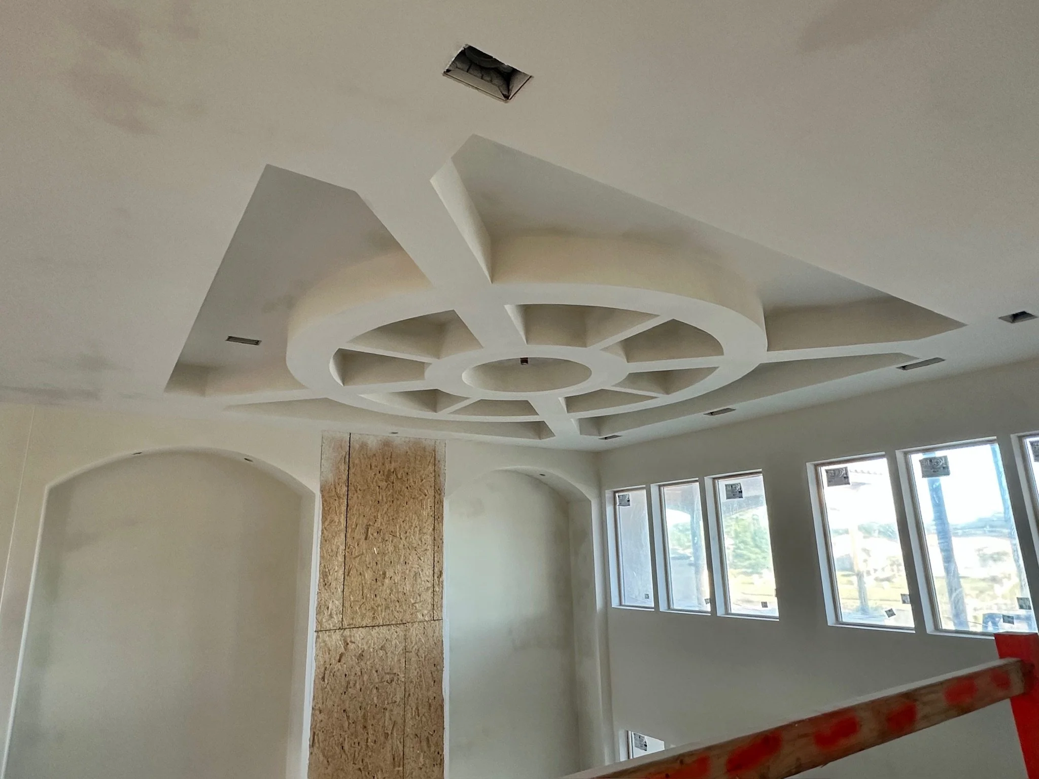 Specialty Residential Ceiling