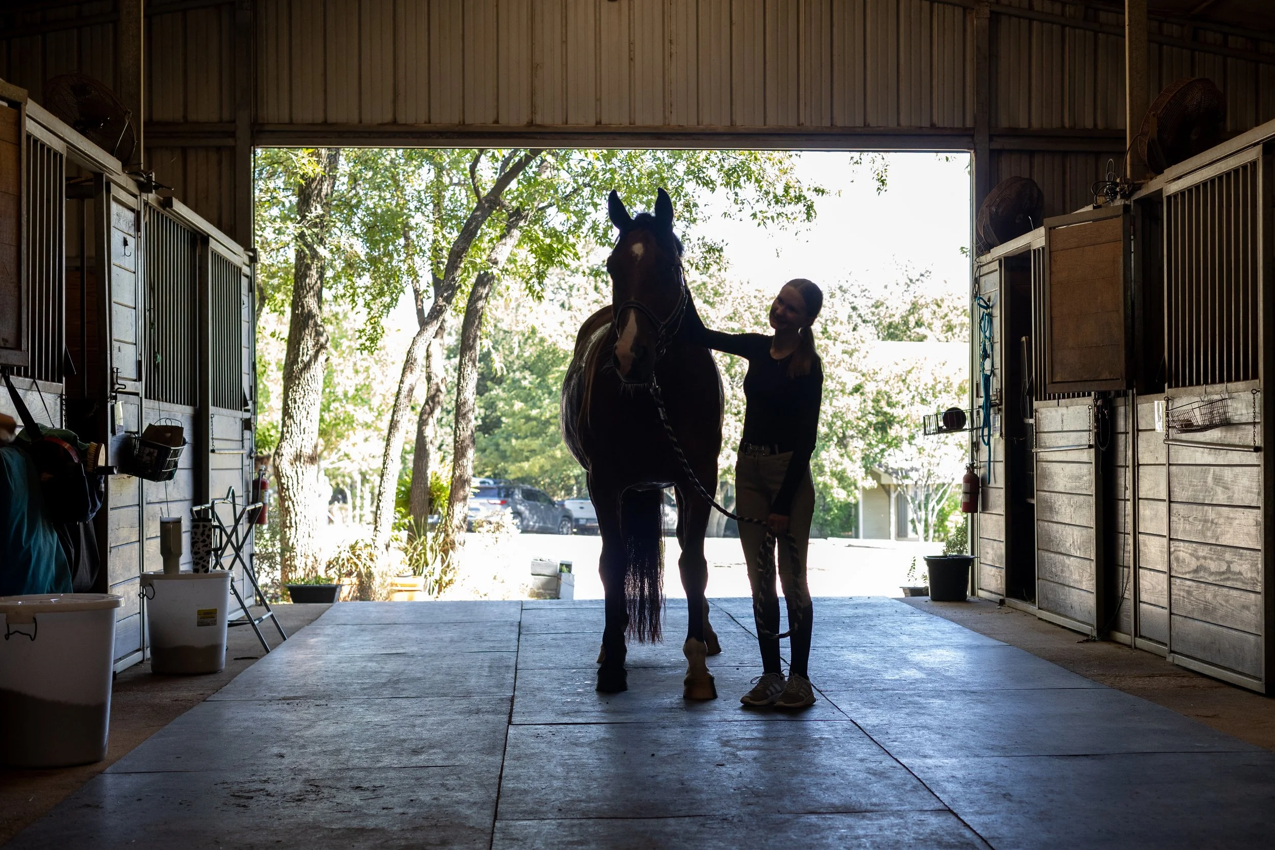 A woman and a horse stand together inside a barn, with the woman gently holding the horse's head.