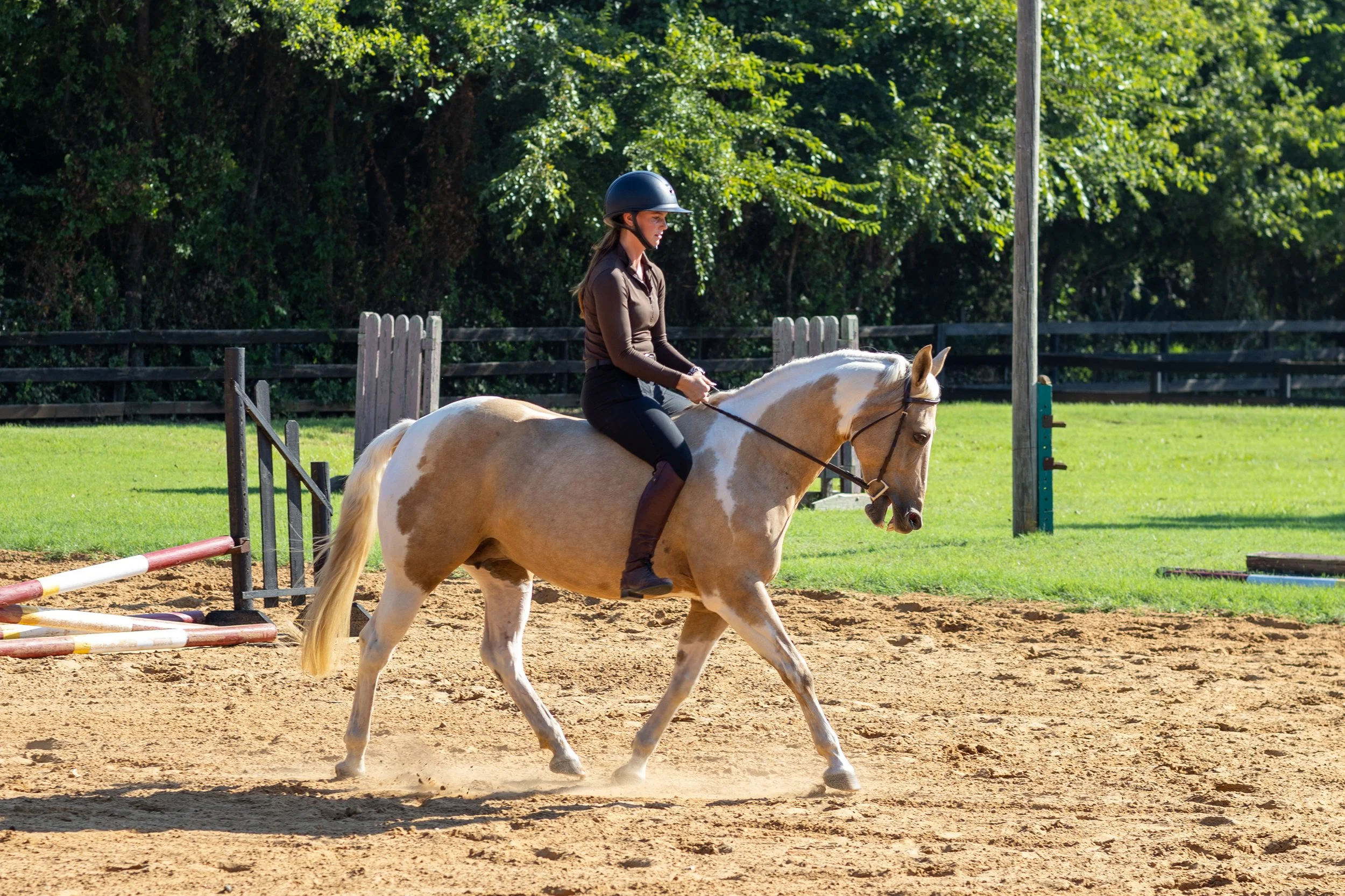 Woman riding a light-colored horse on a sandy outdoor riding arena with green grass and trees in the background.