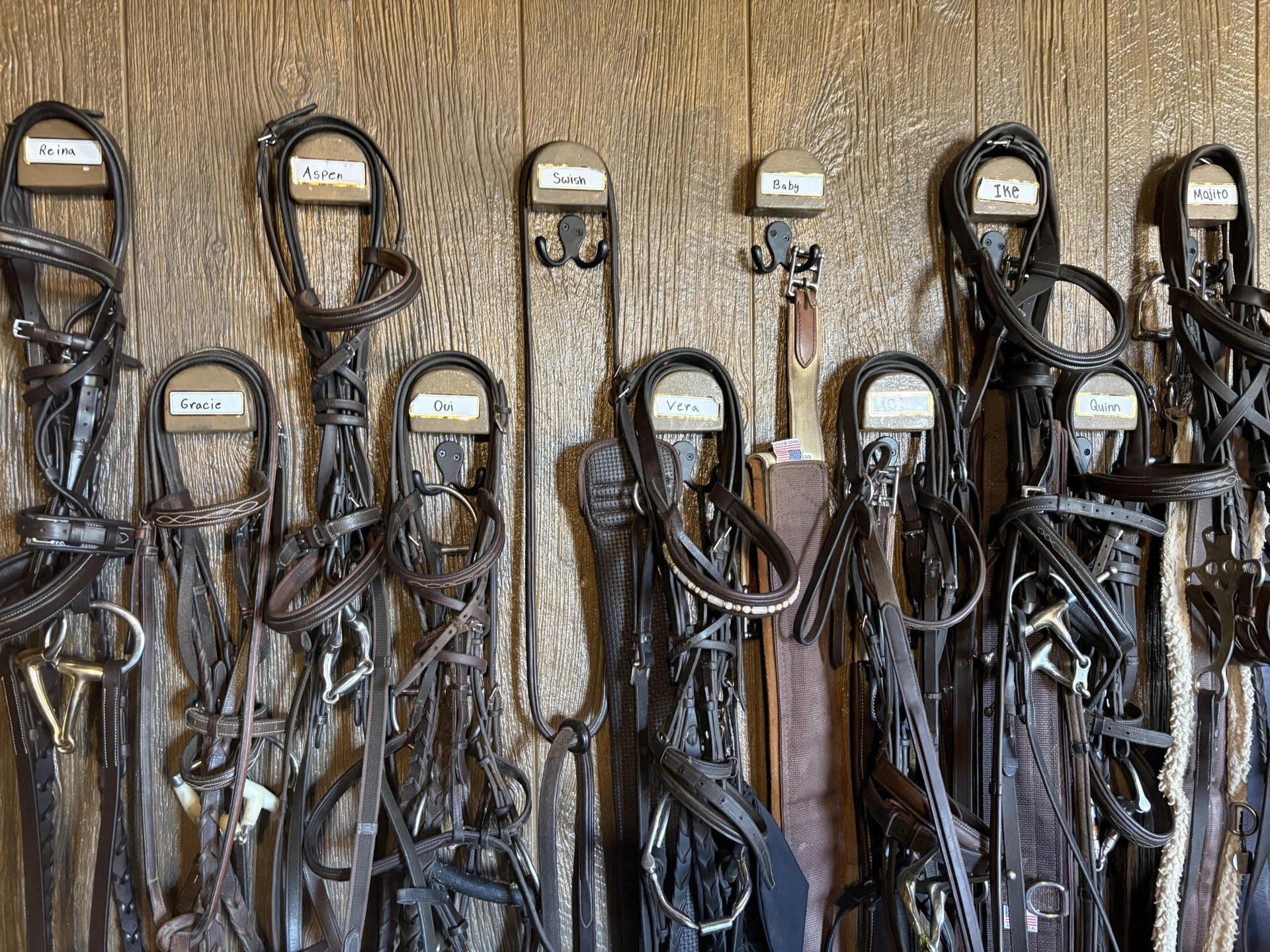 Bridles & Girths.jpg