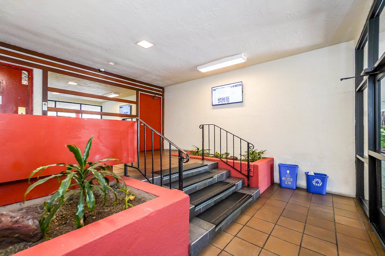 288 Whitmore St Smaller 032.jpg