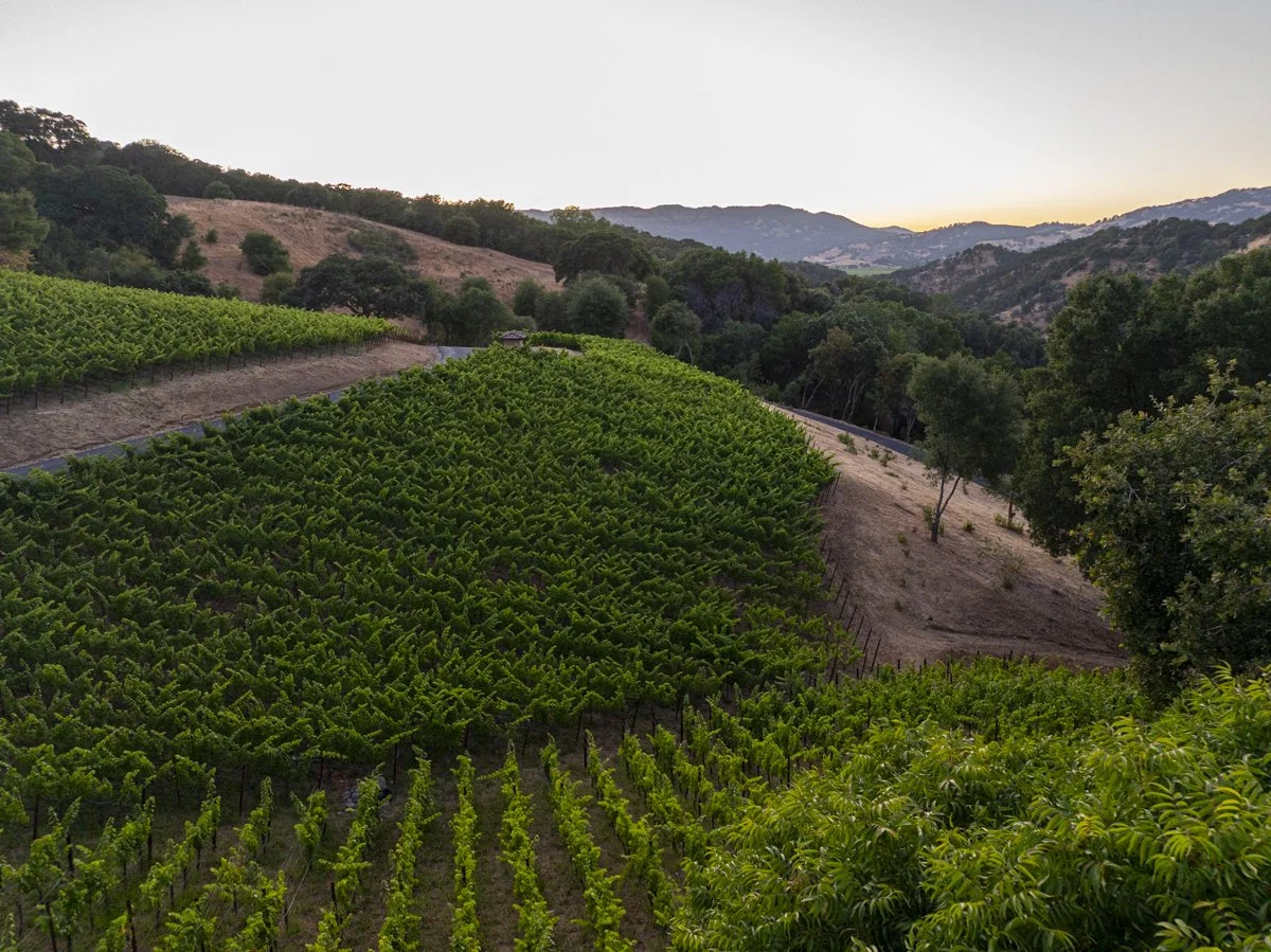 3165 Wooden Valley_Lo_Res-137.jpg