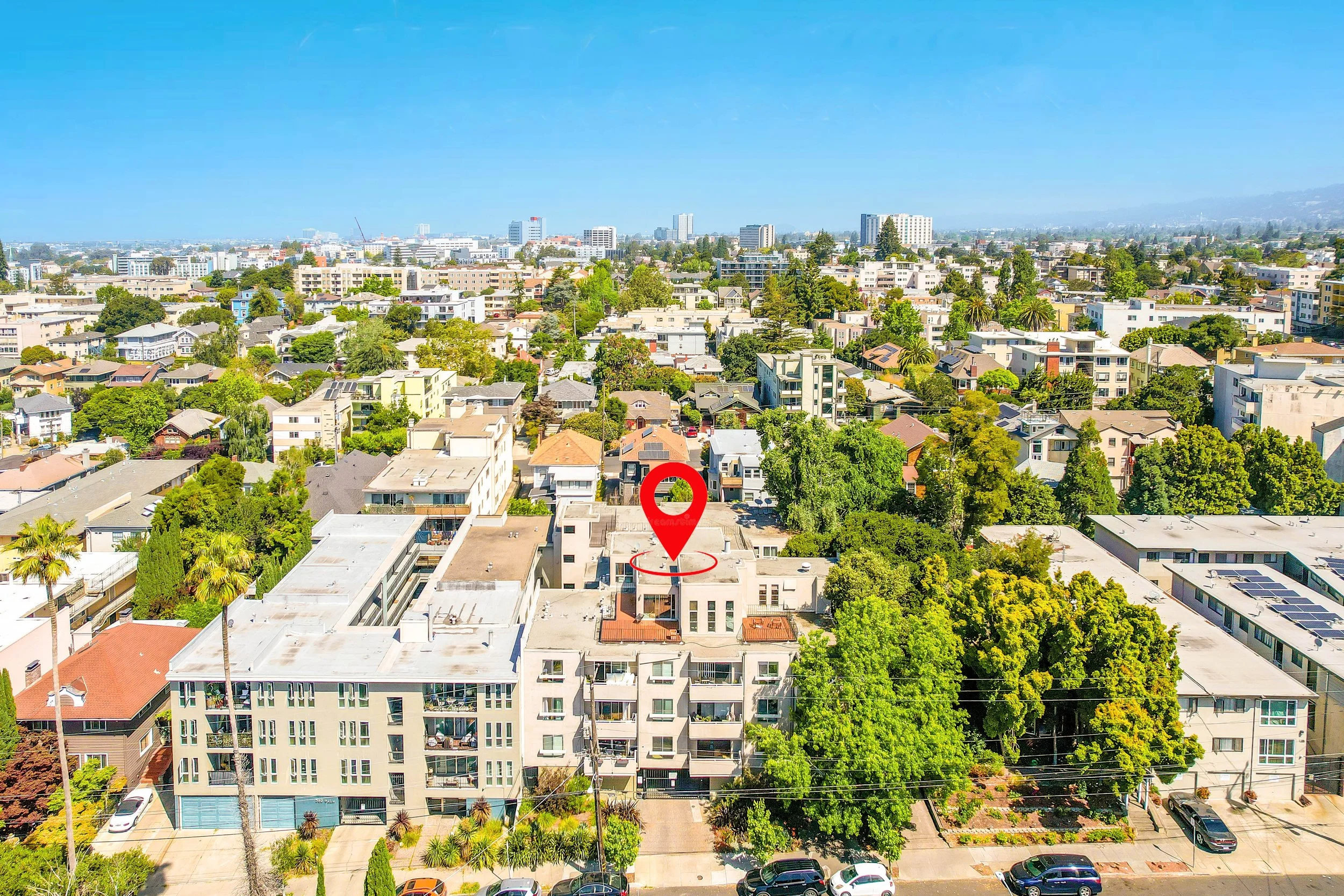 377 PALM AVENUE #201