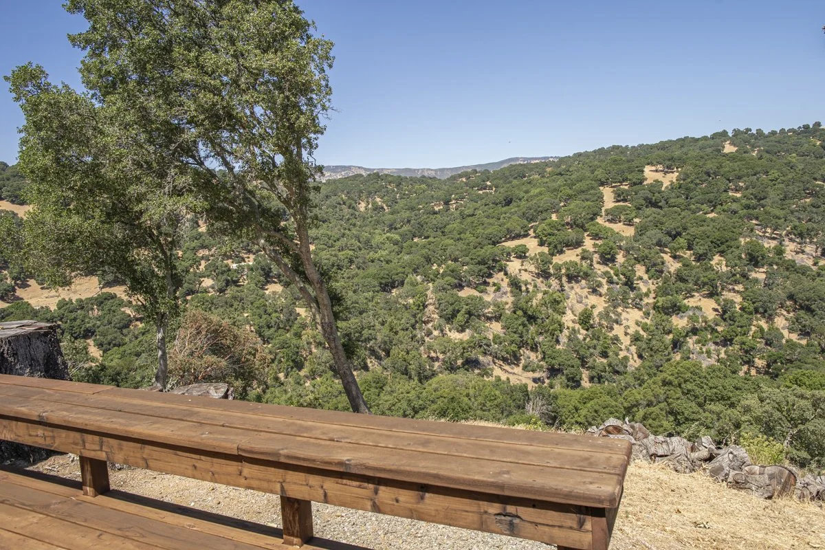 3165 Wooden Valley_Lo_Res-115.jpg