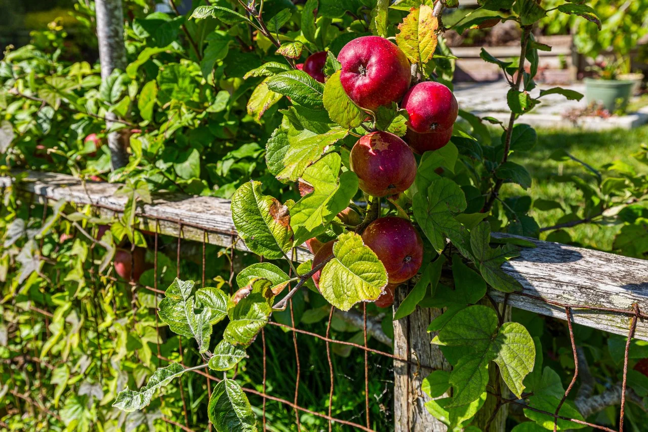 642 30th Smaller 058.jpg