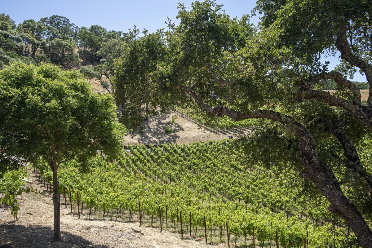 3165 Wooden Valley_Lo_Res-103.jpg