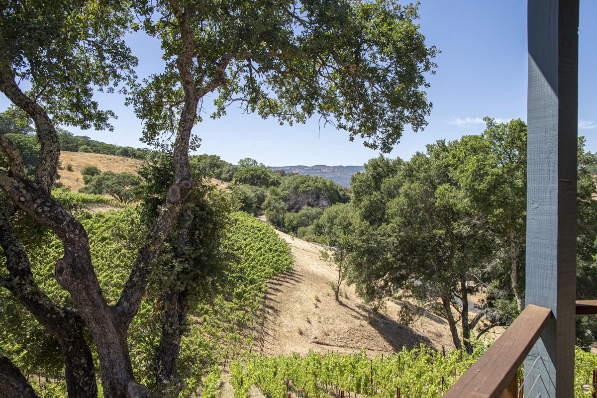 3165 Wooden Valley_Lo_Res-104.jpg