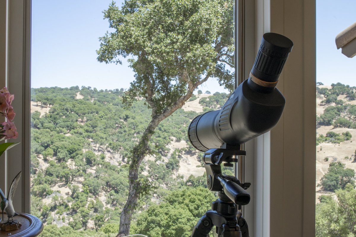 3165 Wooden Valley_Lo_Res-48.jpg