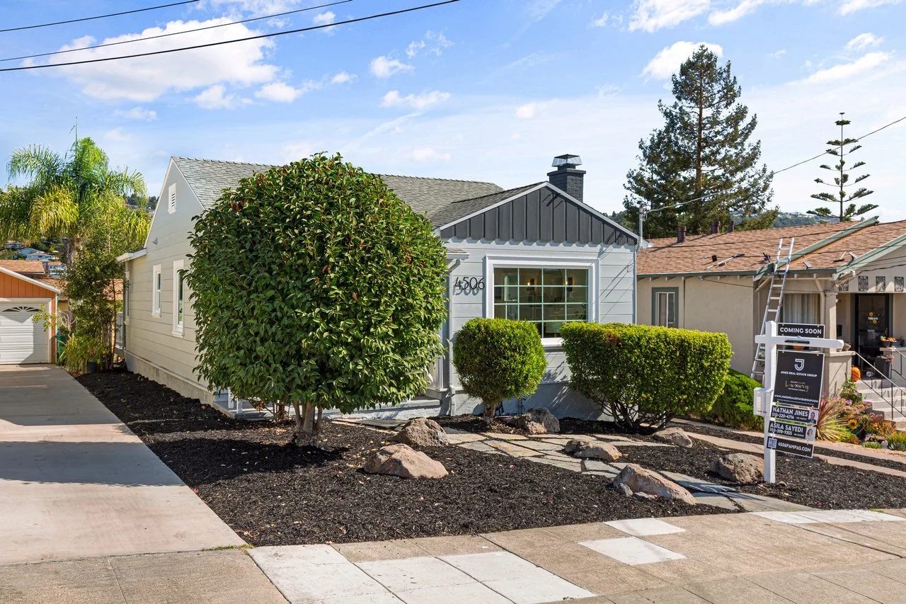 4506 Pampas Smaller 003.jpg