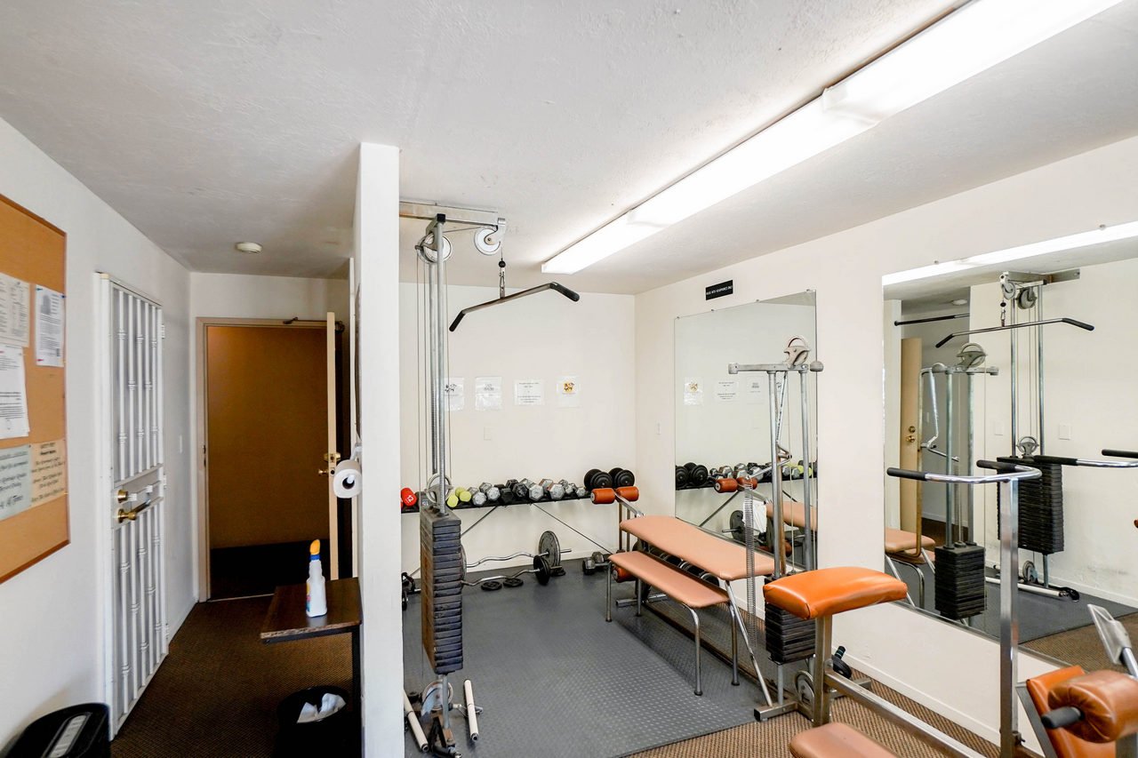 288 Whitmore St Smaller 042.jpg