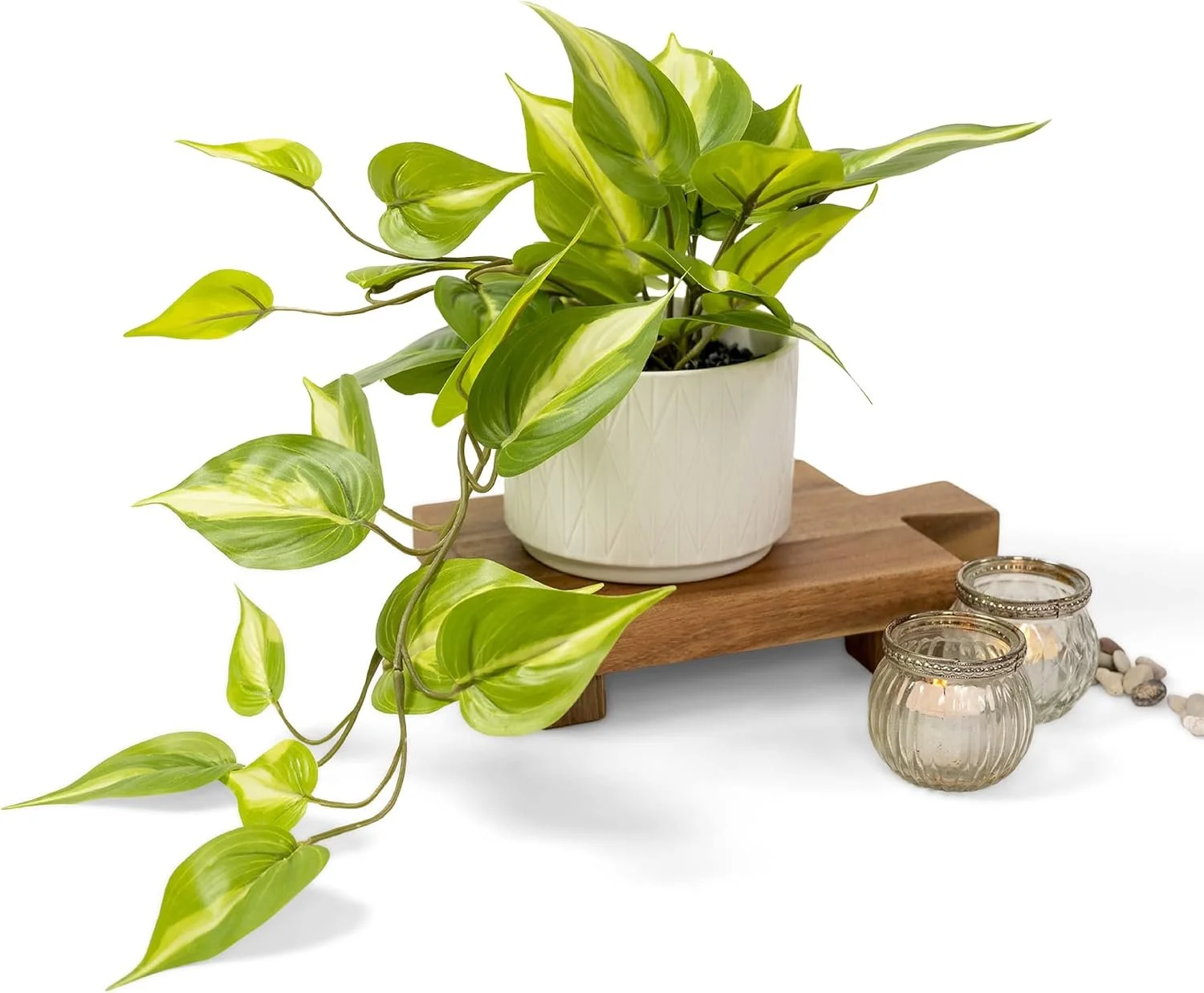 Faux Pothos
