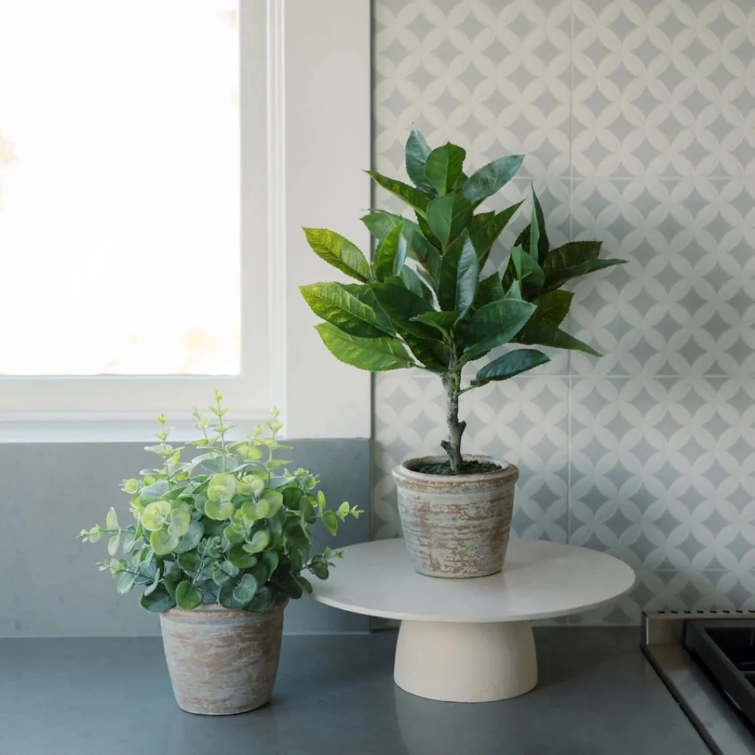 Faux Eucalyptus & Citrus