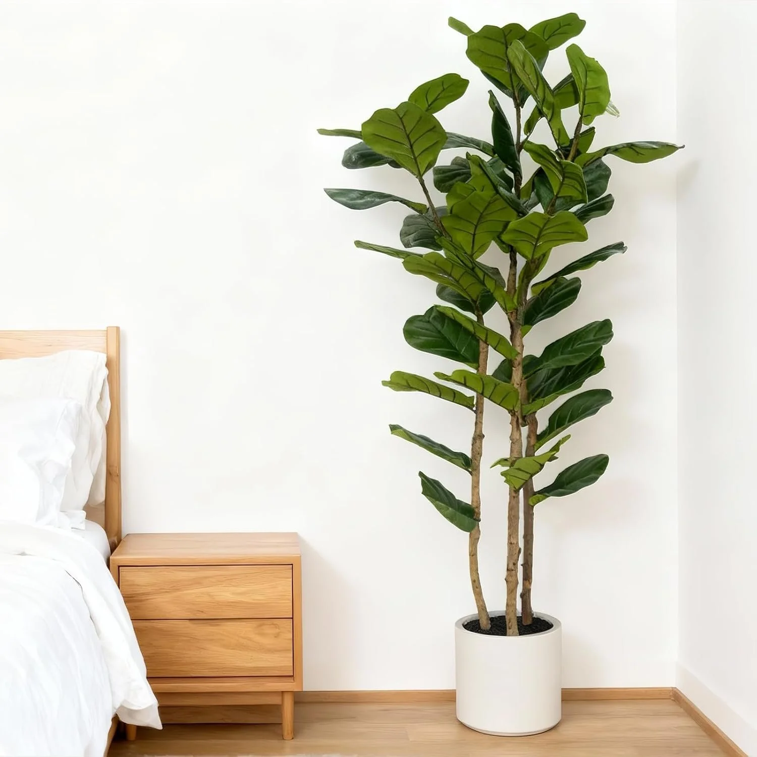 Faux Fiddle Leaf Fig