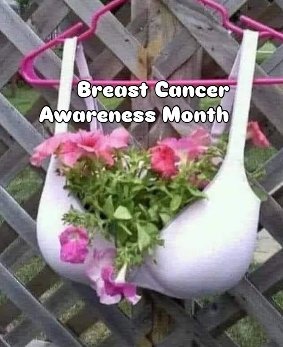 Did you know breast thermography has been available since the early &lsquo;80&rsquo;s? 

The procedure is painless, non-invasive, and uses no radiation or compression. Breast thermography uses an infrared camera to create images of heat patterns on t