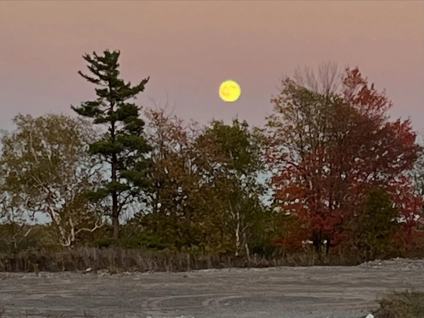 Let&rsquo;s talk about &ldquo;full&rdquo;&hellip;&hellip;.full moon, full heart or maybe full breast????

Have your breasts ever felt &ldquo;full&rdquo; or &ldquo;heavy&rdquo; or both? The most common cause of breast fullness, often felt as heaviness