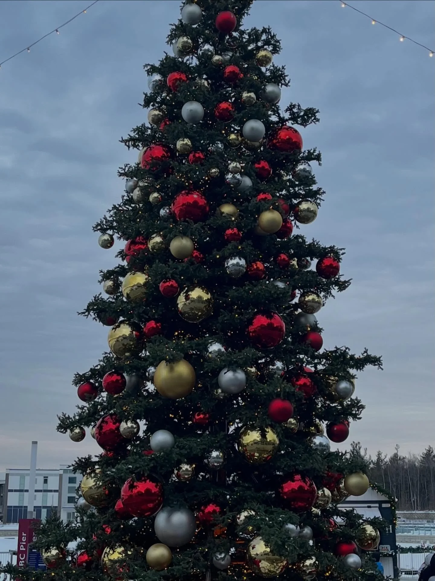 Christmas is a magical time of year. May you find joy throughout the season. 🎄

Merry Christmas🎄

The office is closed for a few days for family time. See you on the 30th

#thermographyinthesix #happyholidays #stayhealthy