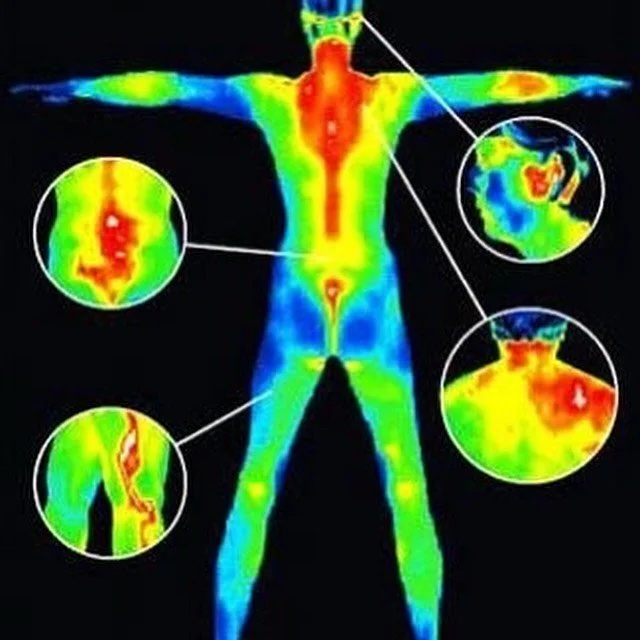 Do you want to find out what&rsquo;s really going on inside your body? 

Medical Thermography is a technique using a non-invasive, radiation free thermal camera to capture the infrared energy emitted by your body and converts it to images showing the