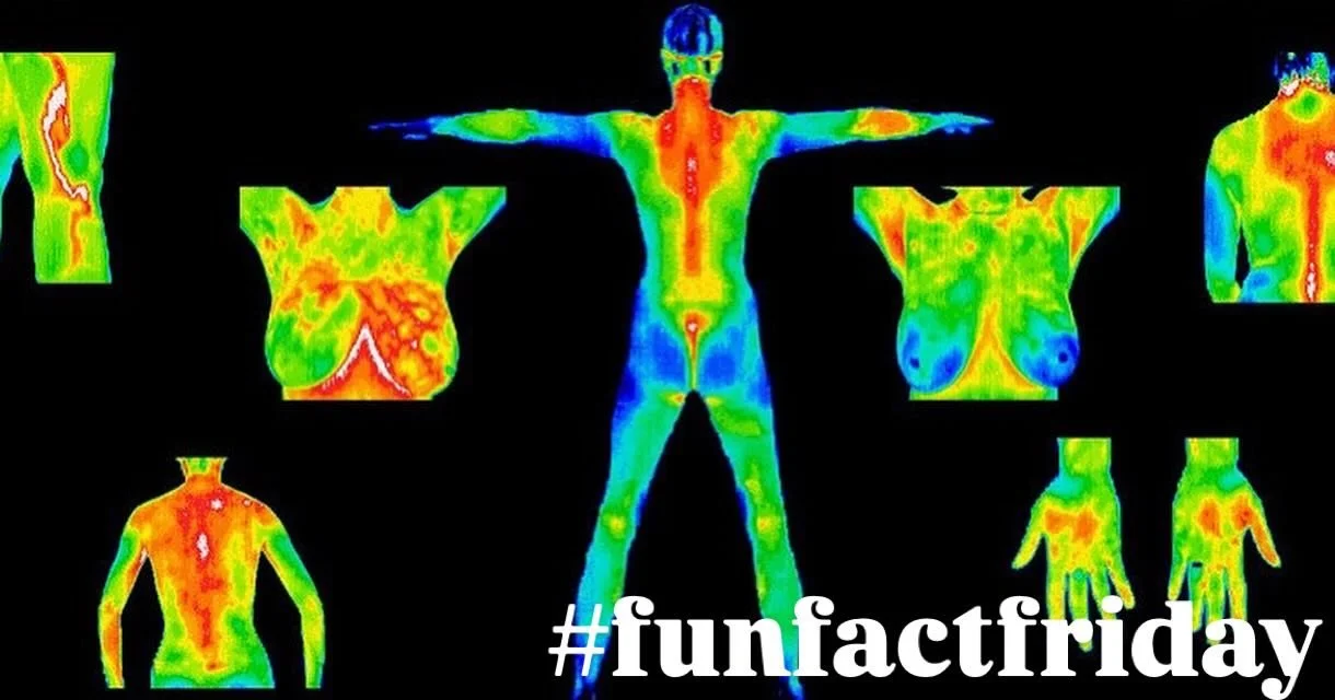 #FunFactFriday

Skin temperature changes are unique to each person based on what is going on with their health.

These skin temperature changes create a thermal map that indicates areas of the body that are stressed or need attention.

Thermography i