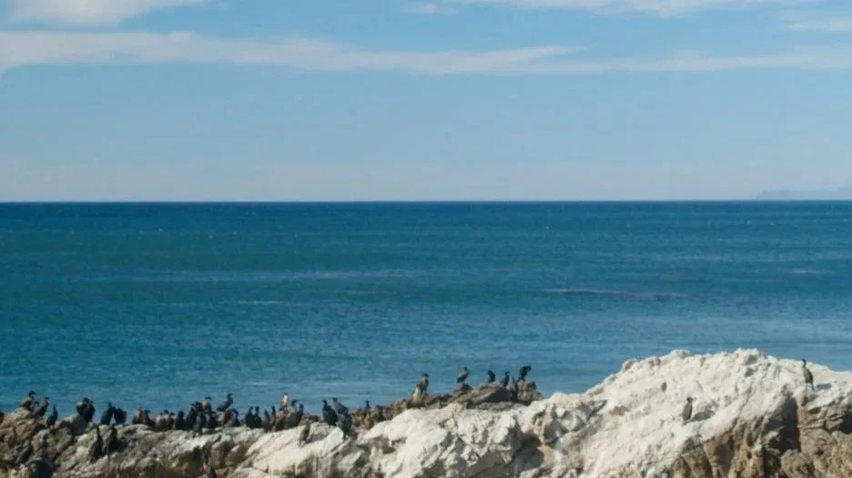 Ari Screenshot 6.jpg