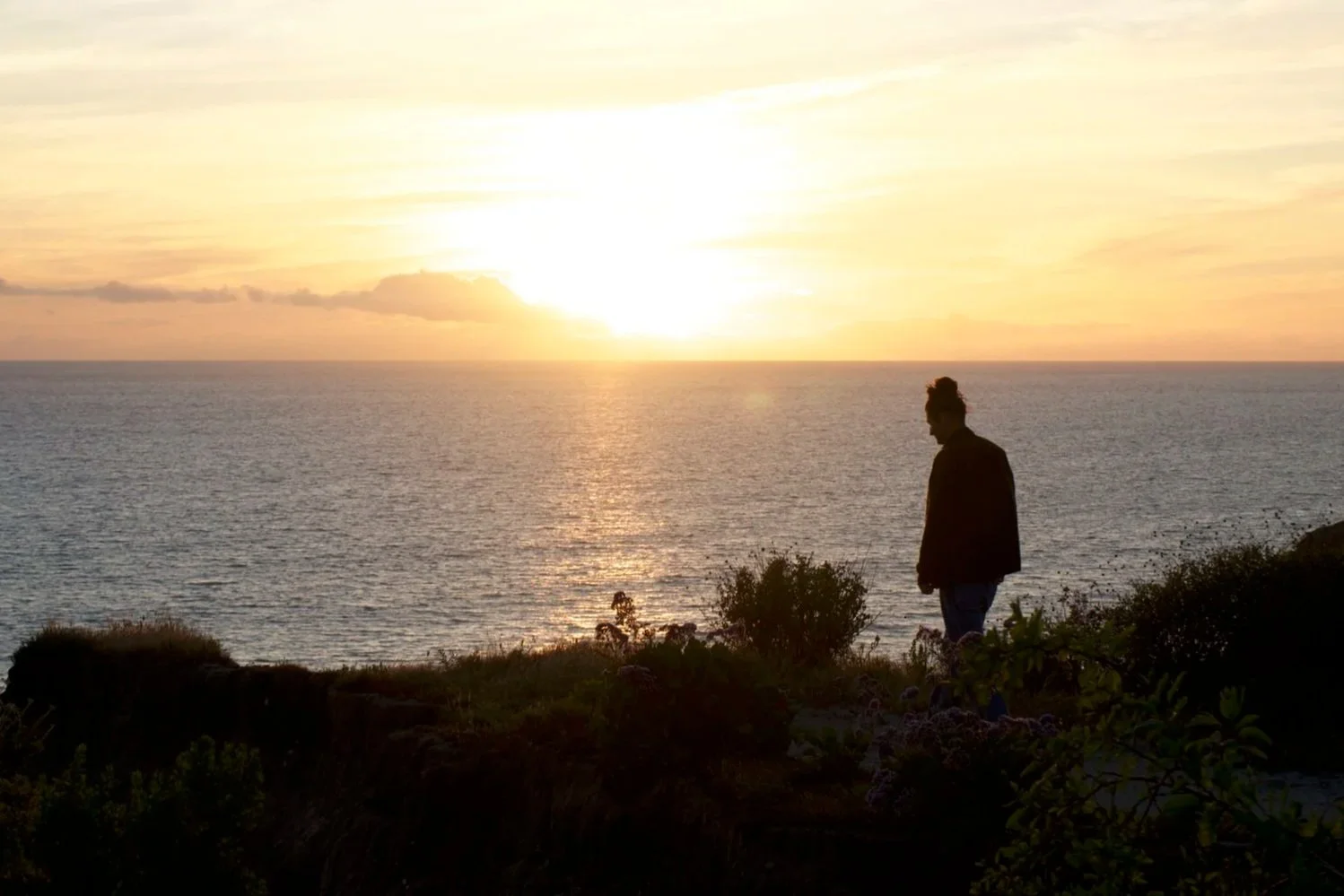 TMM Website Banner.jpg