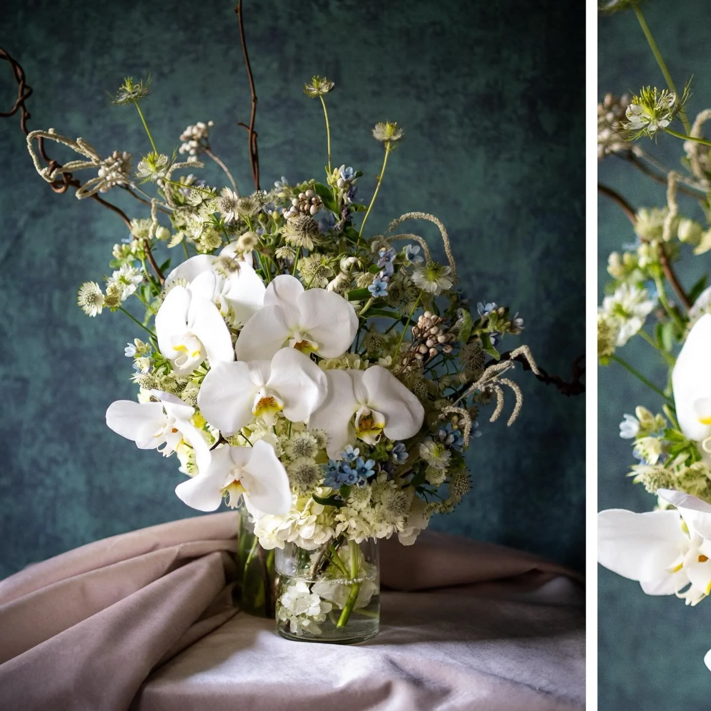 The longest night doesn&rsquo;t come to bury us &mdash;
it comes to deepen the roots.

Growth doesn&rsquo;t announce itself in light.
It happens quietly, underground,
in the dark where the flower decides
what it will become.

Today, we honor the paus