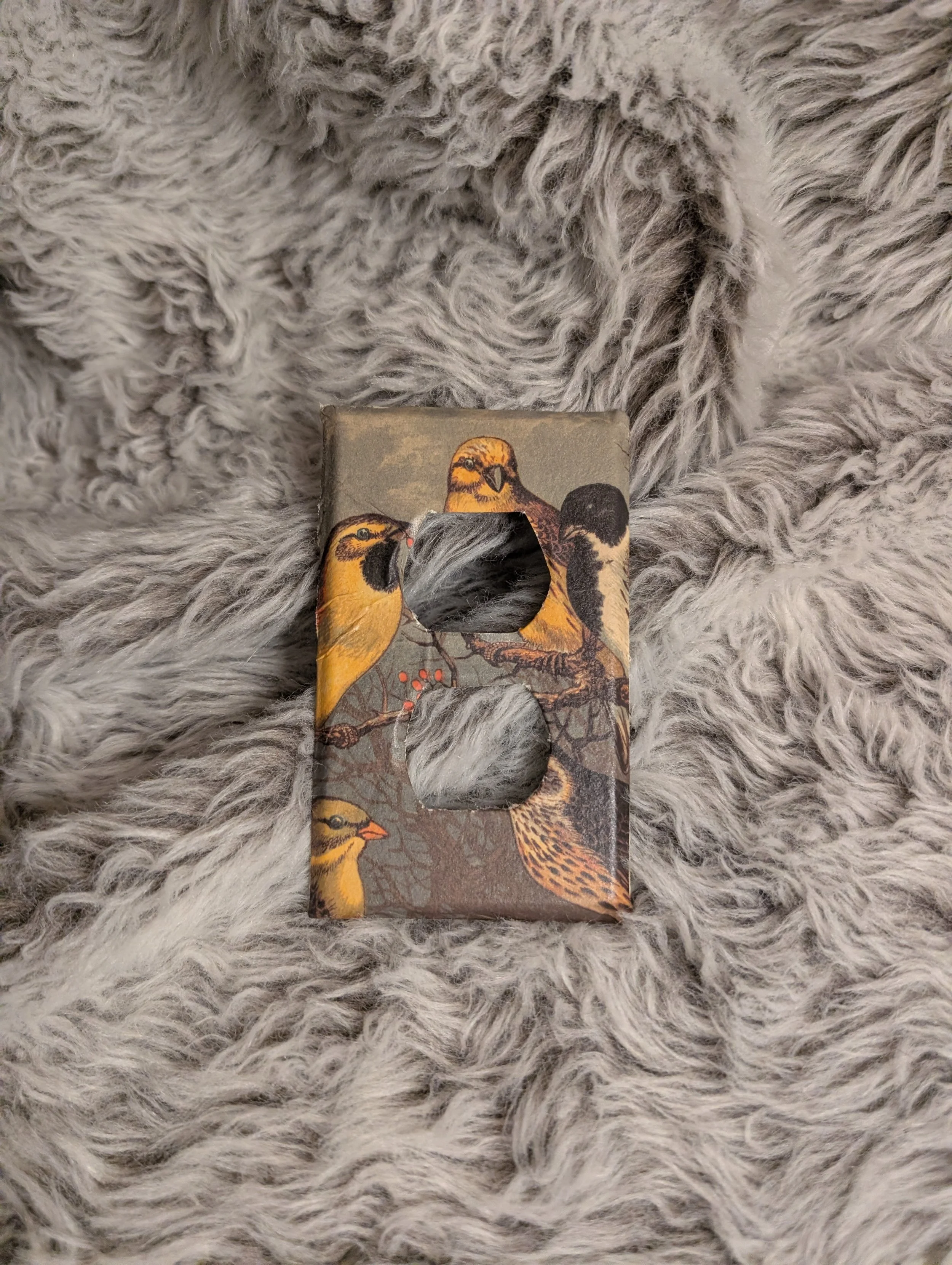 birds of a..you know.jpg