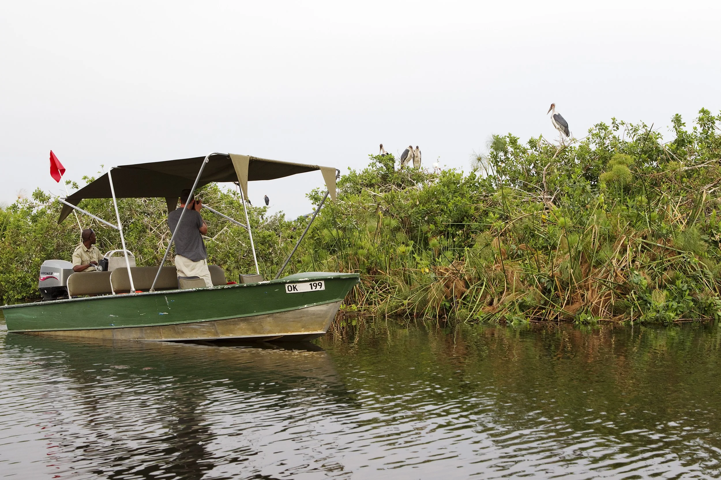 Shinde Boat Guests Marabou Stork 2.jpg