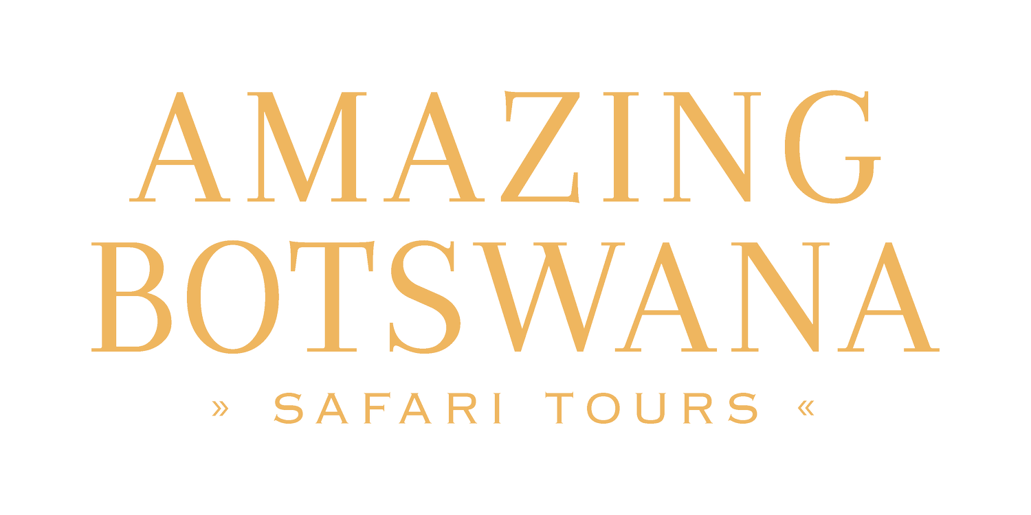 AMAZING BOTSWANA | Safari Curator Botswana
