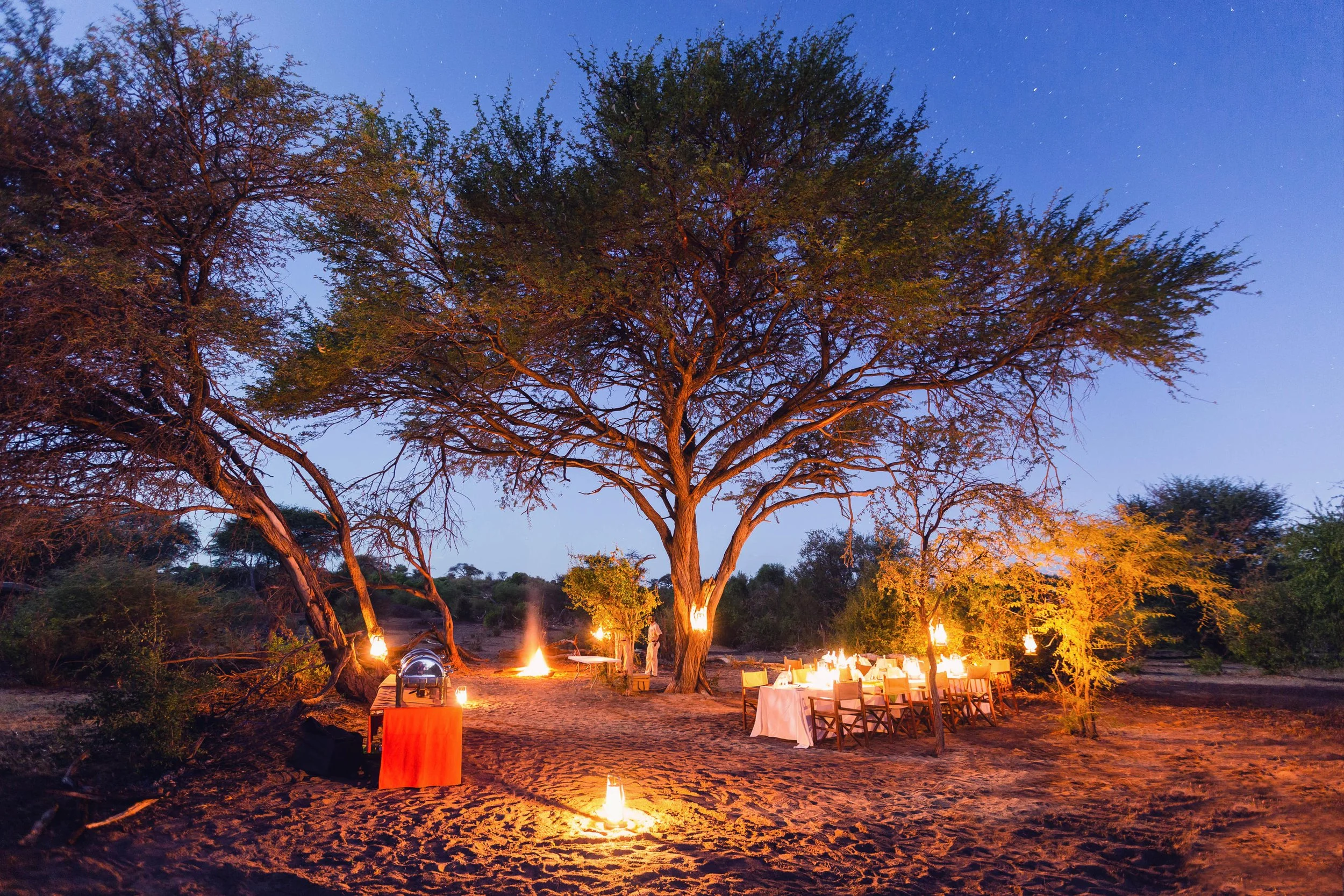 Bush Dinner.jpg