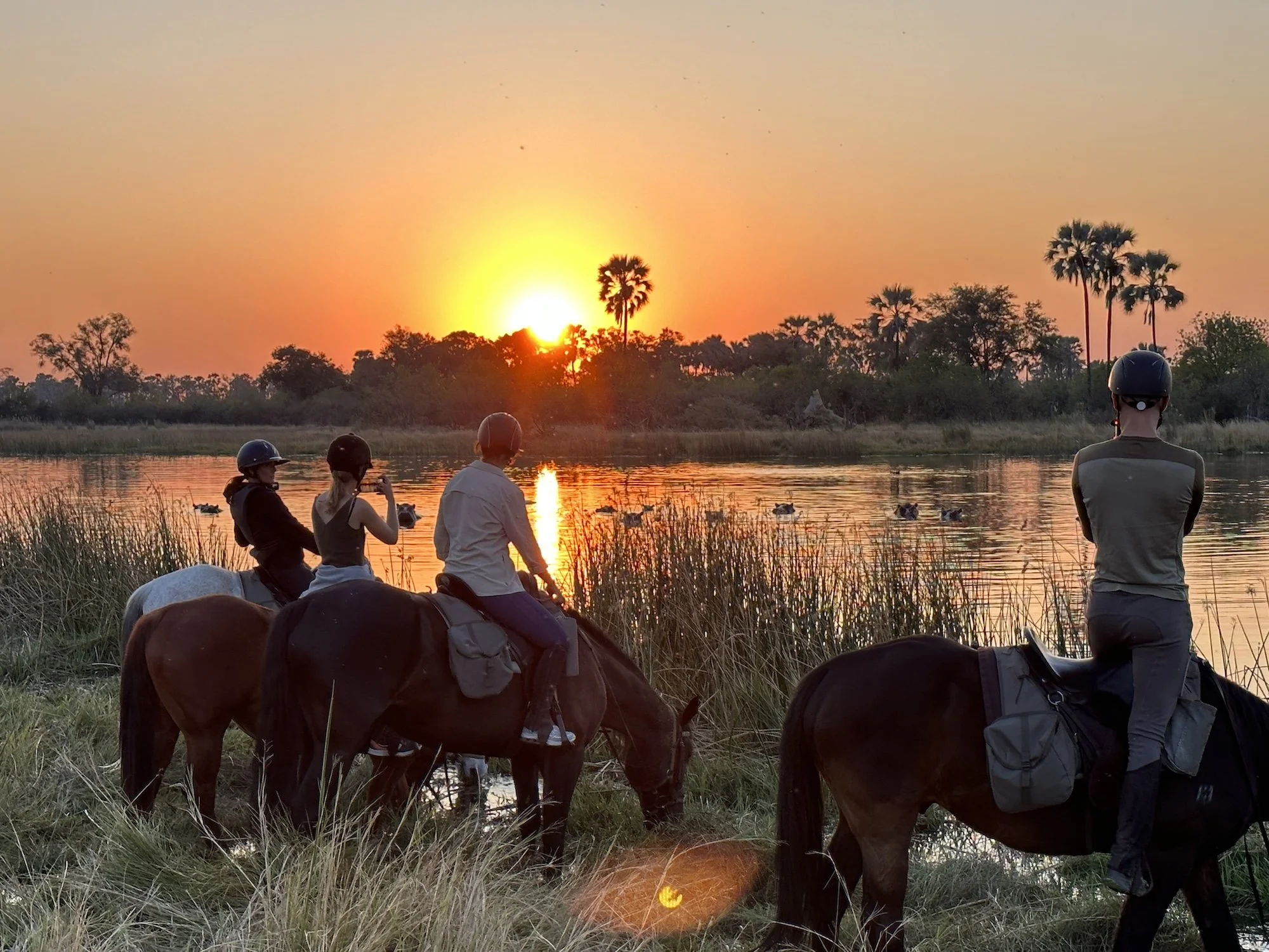 amazing-botswana-safaris-horseback-3.jpg
