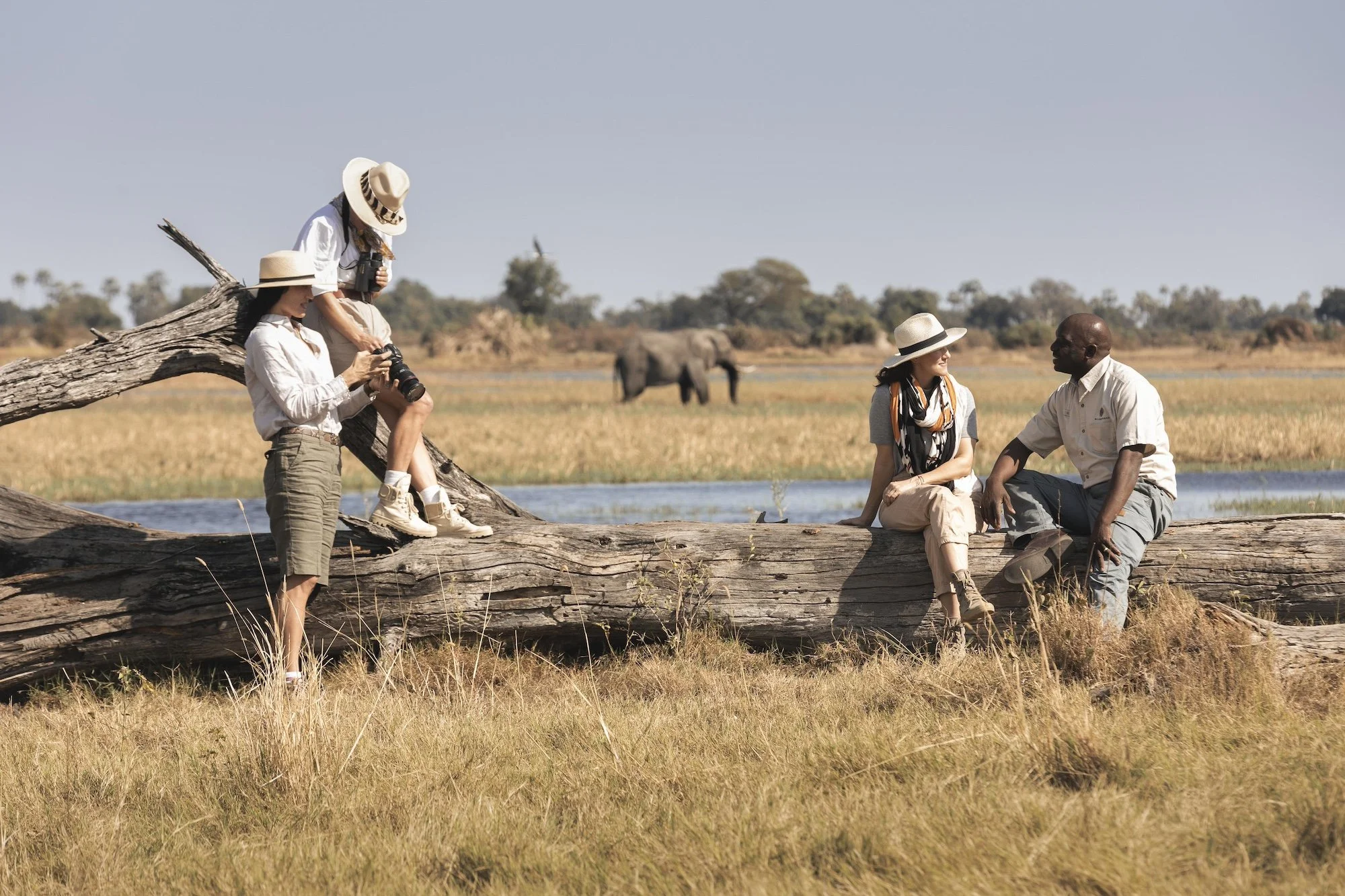 amazing-botswana-safaris-luxury-mombo-1.jpg