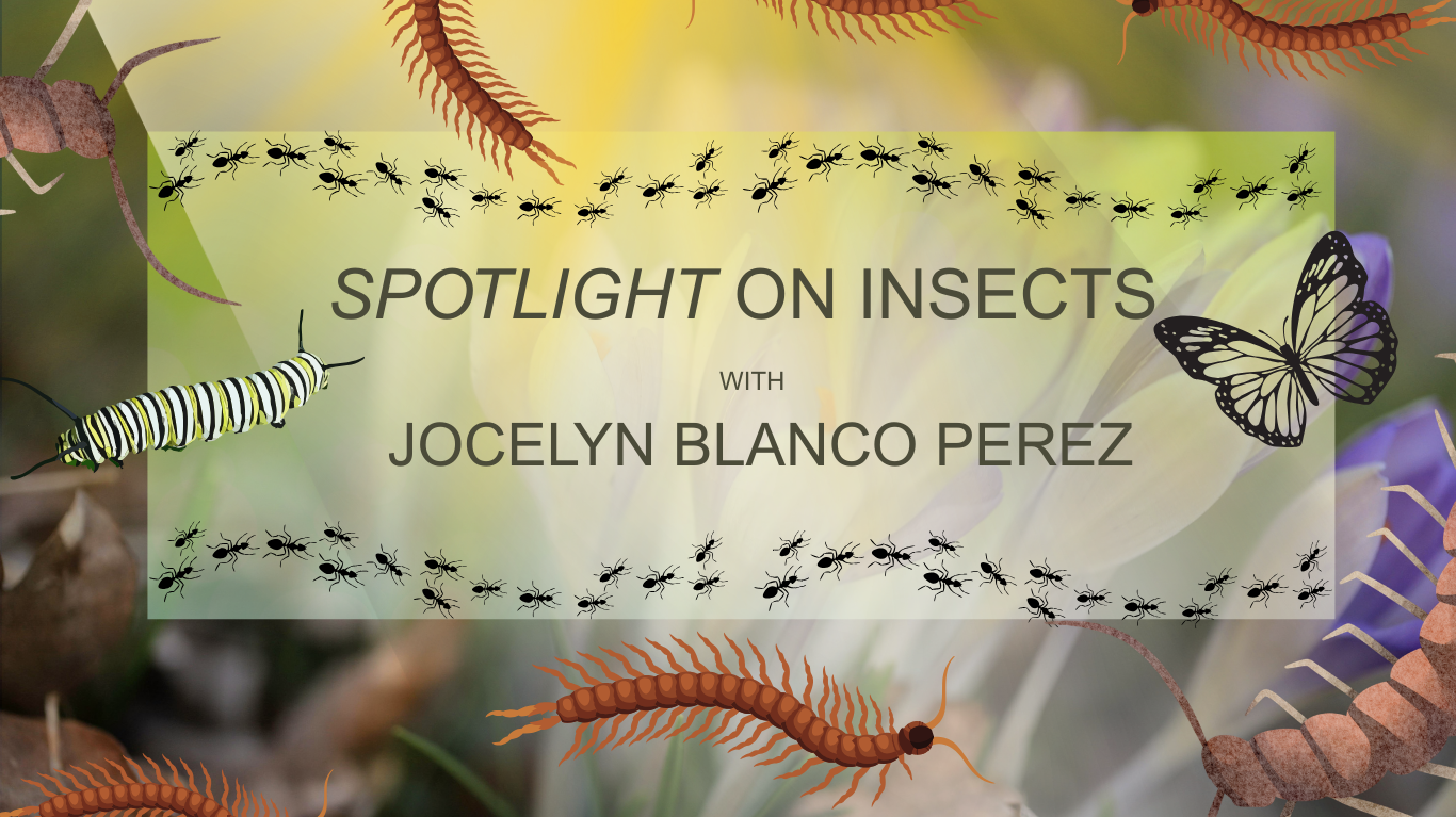 Spotlight on Insects with Jocelyn Blanco Perez                                                                                                                                            