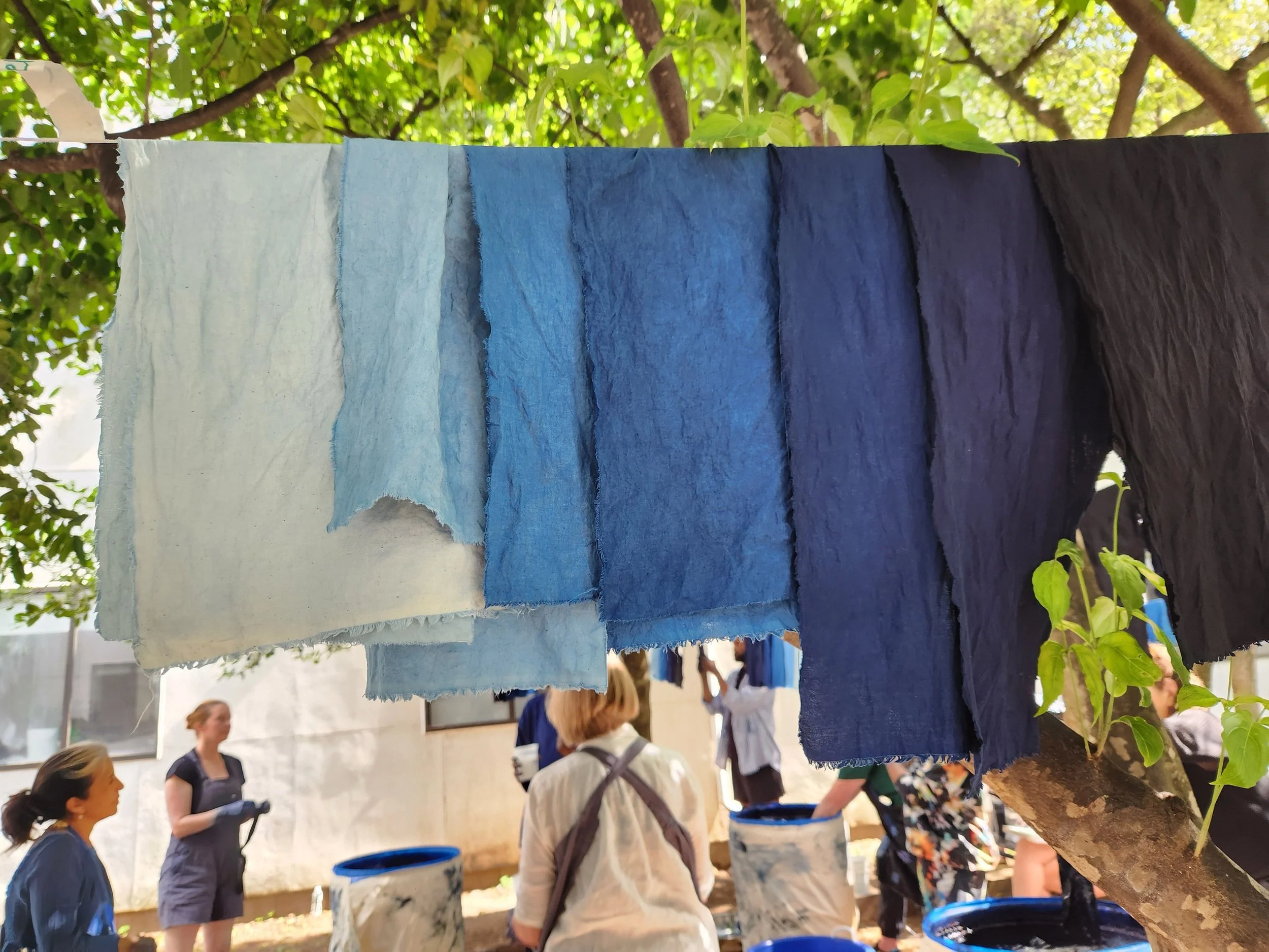 Intro to Shibori Indigo Textile Dyeing with Nelise Nasheida 
