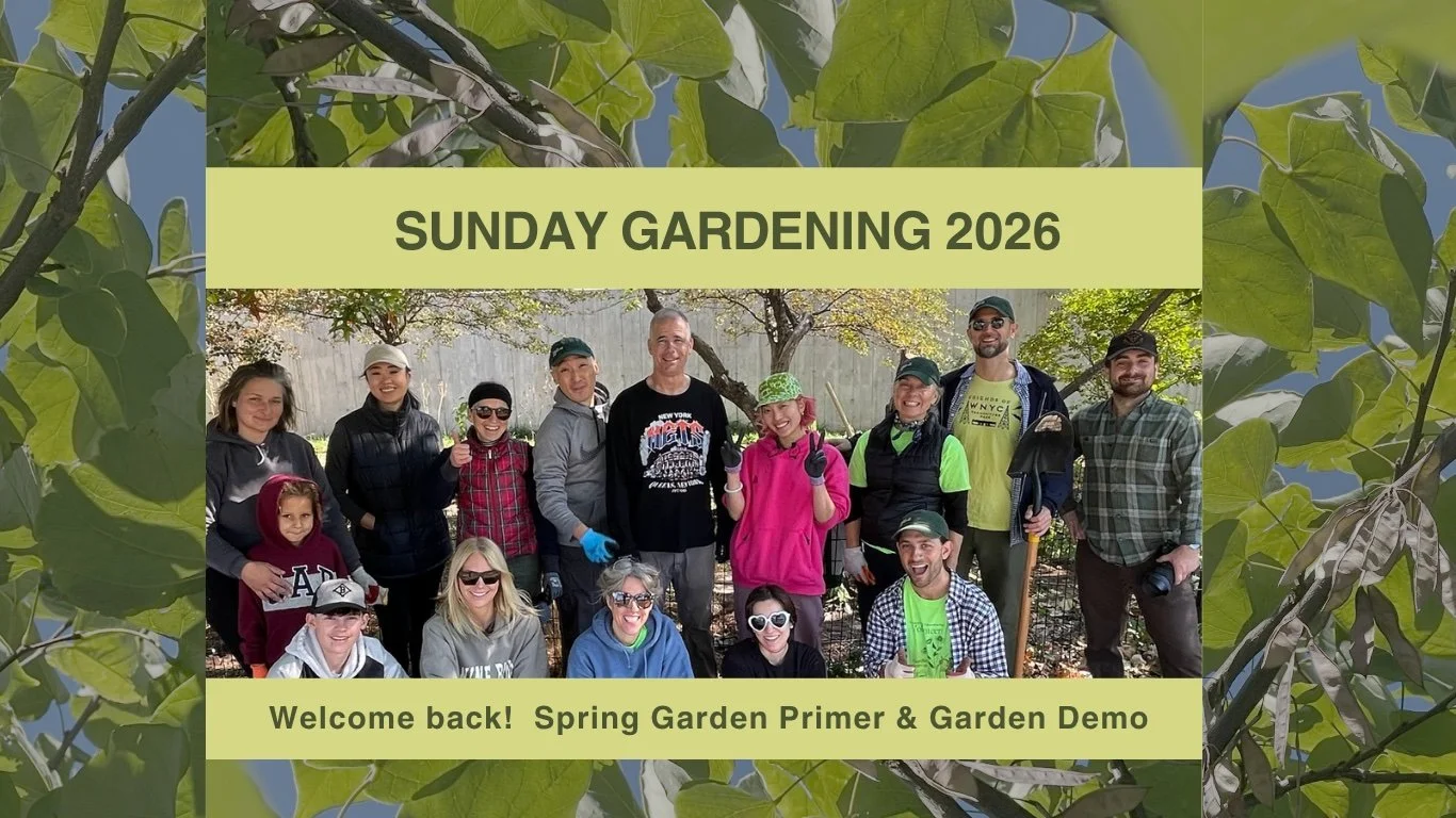 Sunday Gardening - 2026