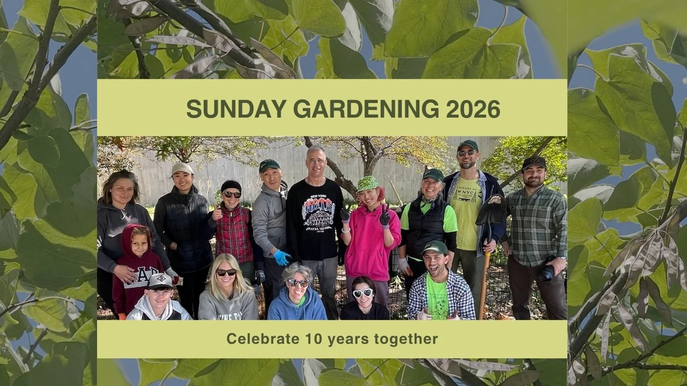 Sunday Gardening - 2026