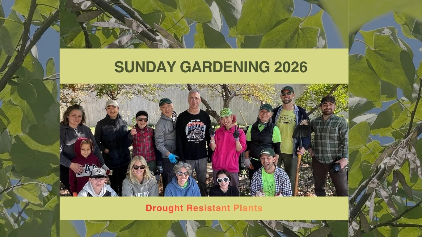 Sunday Gardening - 2026
