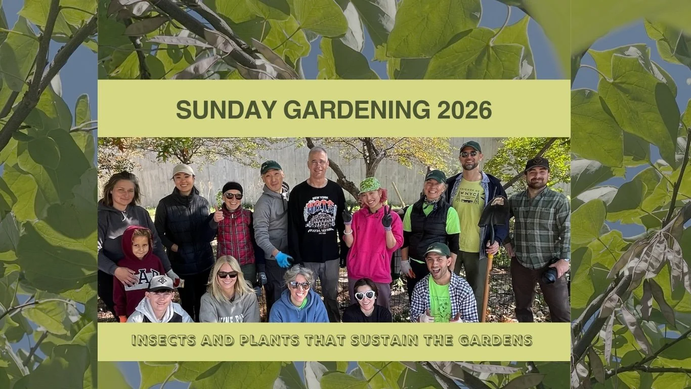 Sunday Gardening - 2026