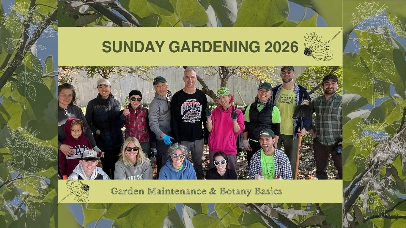 Sunday Gardening Demo with Our Temenos- 2026
