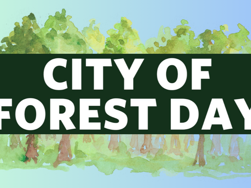 City of Forest Day 2026