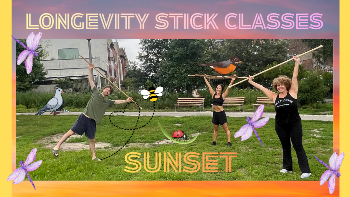 Longevity Stick Class (FRIDAY SUNSET) 8/07/26