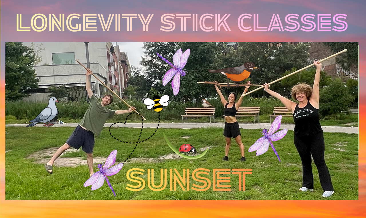 Longevity Stick Class (FRIDAY SUNSET) 8/14/26 
