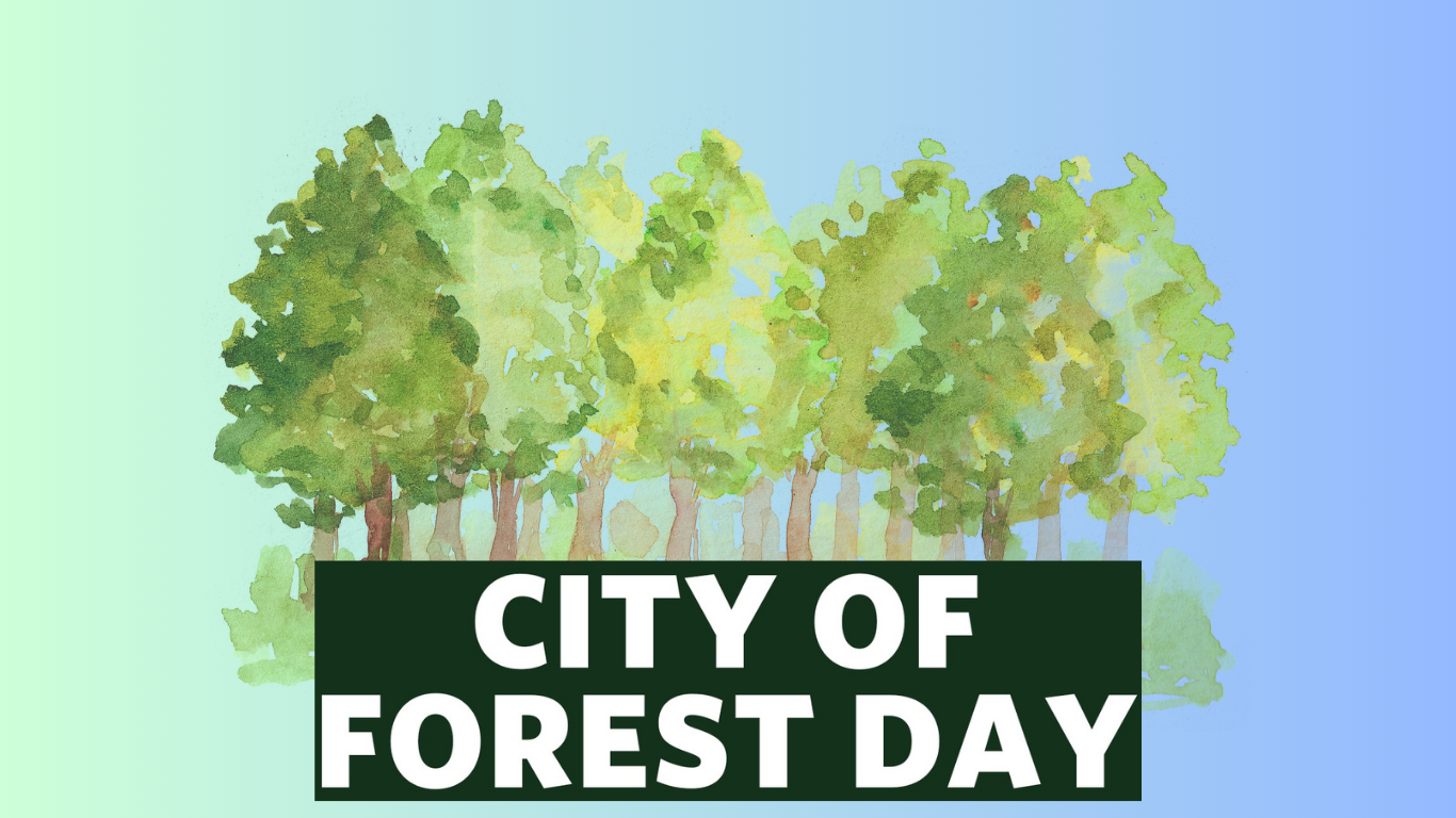 City of Forest Day 2026