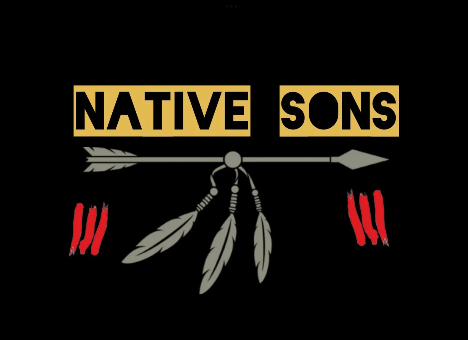 NATIVE SONS