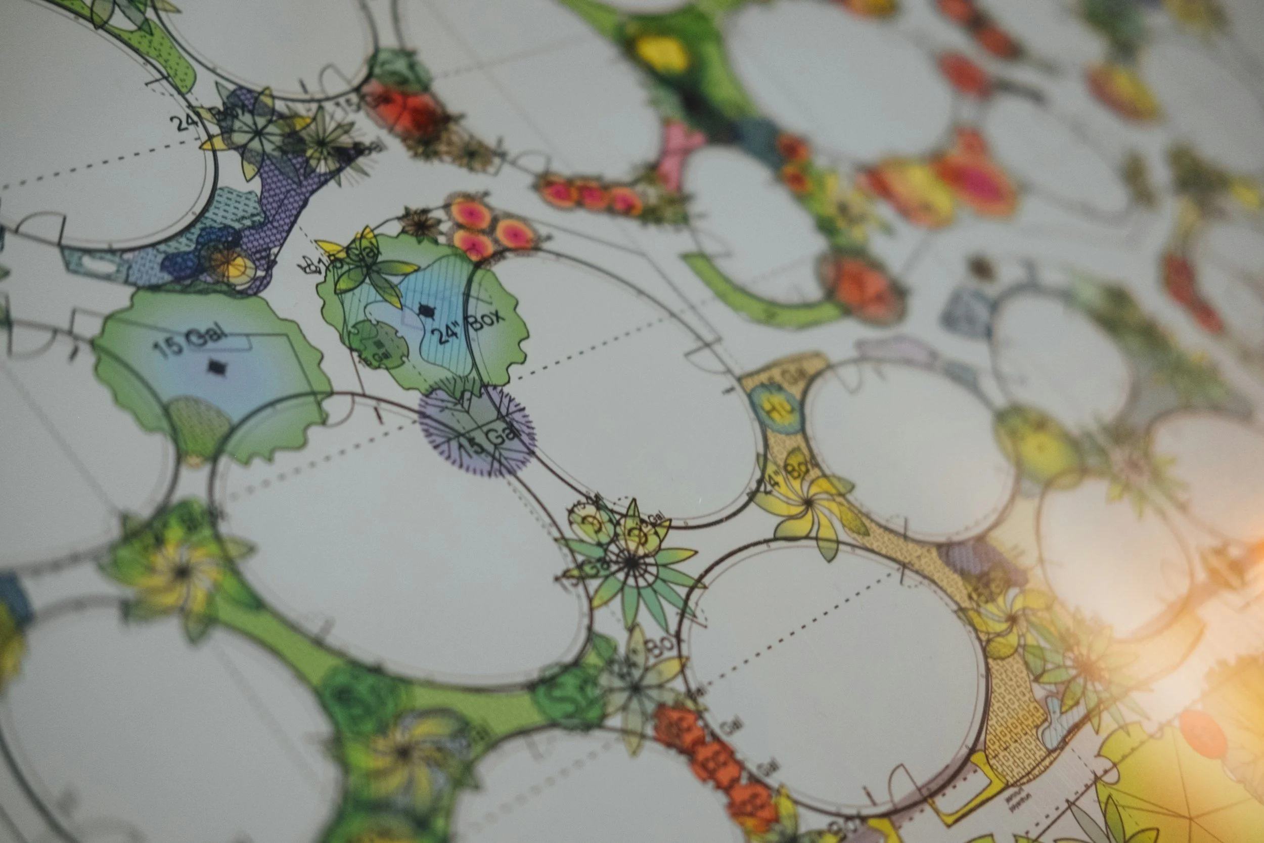 Colorful landscape design plan with various shapes, garden areas, and plant illustrations.