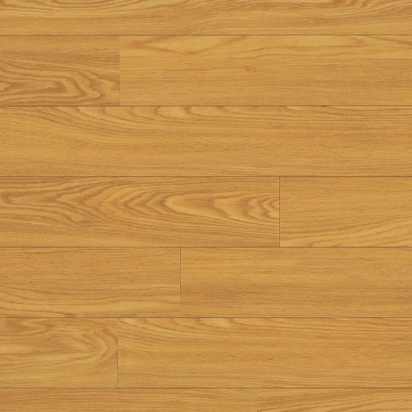 Rocky Mountain Oak.jpg