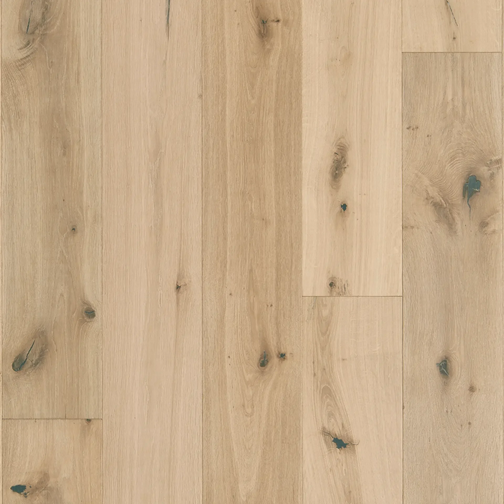 Mannington- Sanctuary Shell