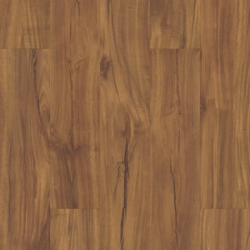 Gold Coast Acacia.jpg