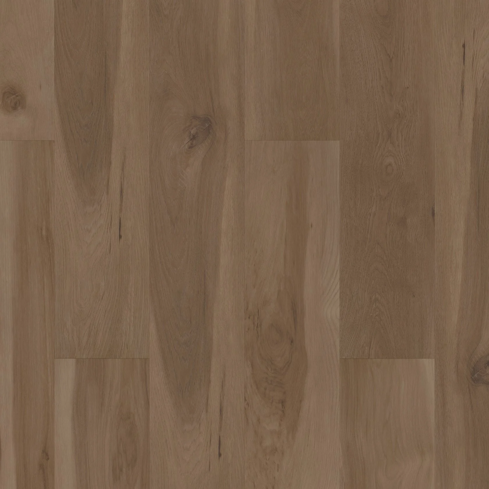 COREtec- Blended Caraway