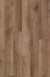 IFC- Monticello Oak